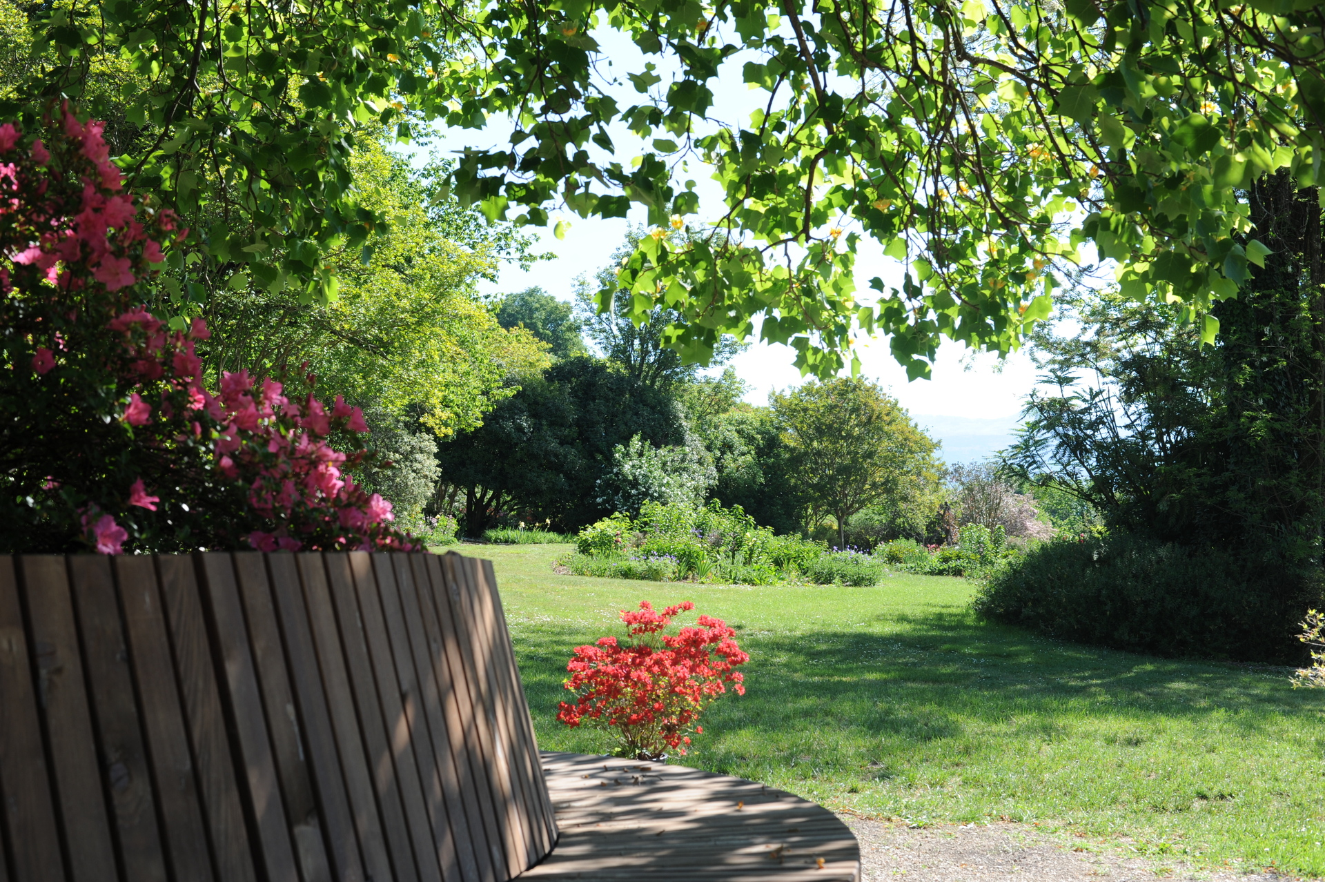 Giardino Viatori, Courtesy della propriet�