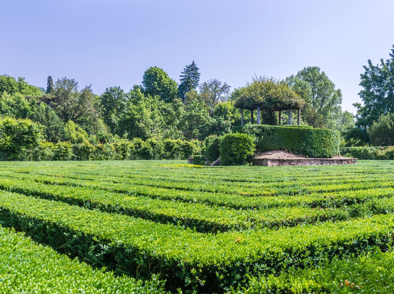 Tenuta Valsanzibio Srl