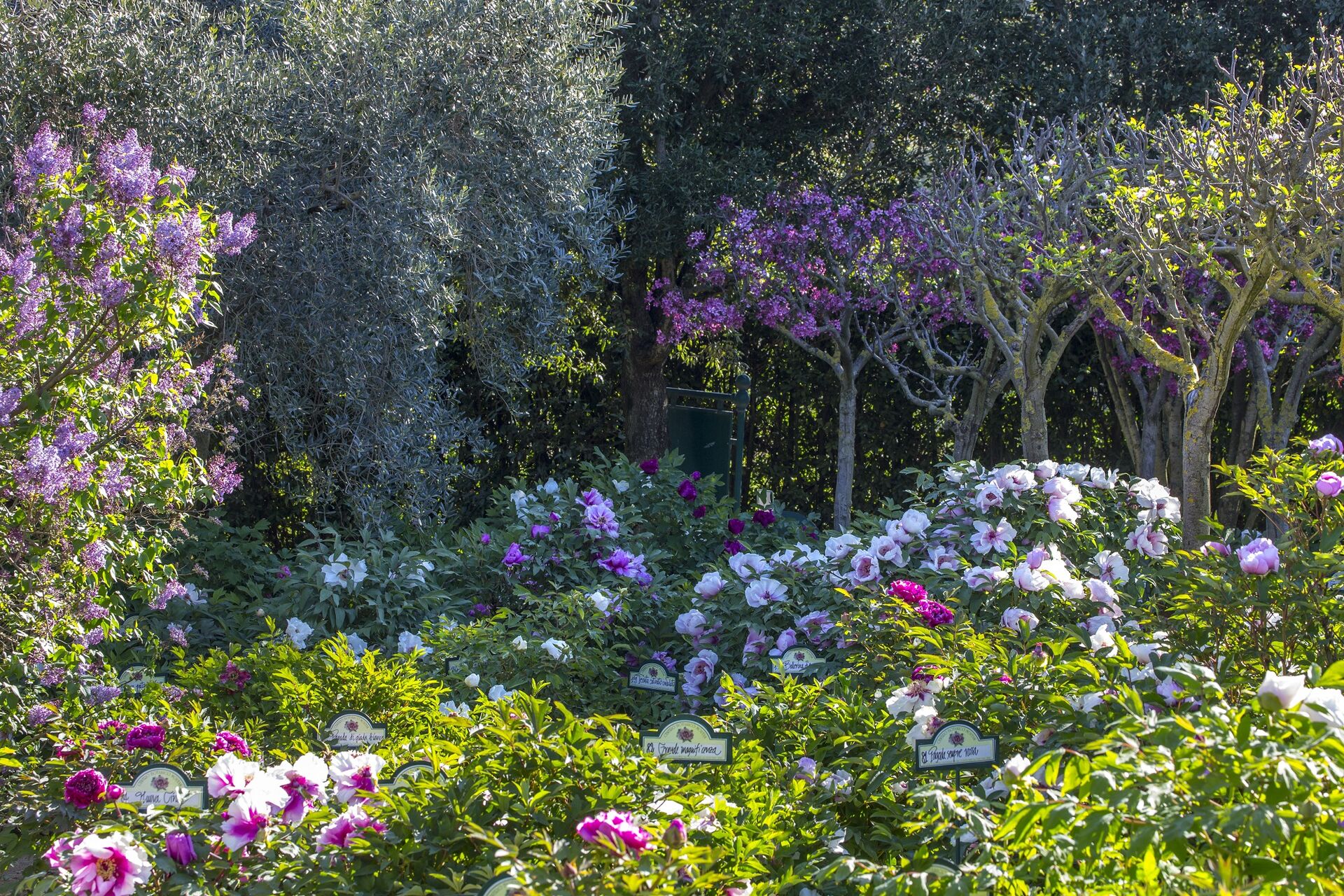 Grandi Giardini Italiani