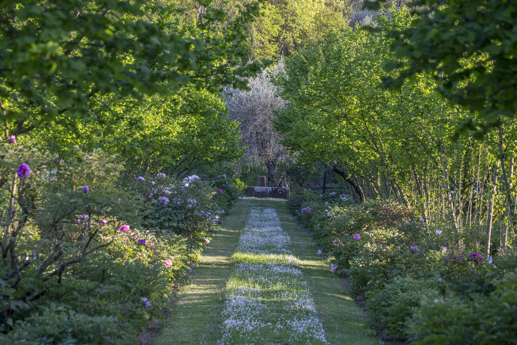 Centro Botanico Moutan | GRANDI GIARDINI ITALIANI