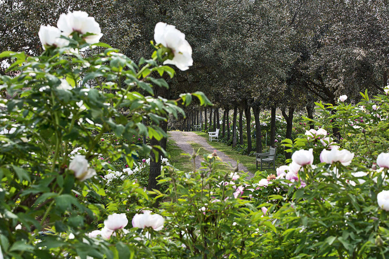 Grandi Giardini Italiani