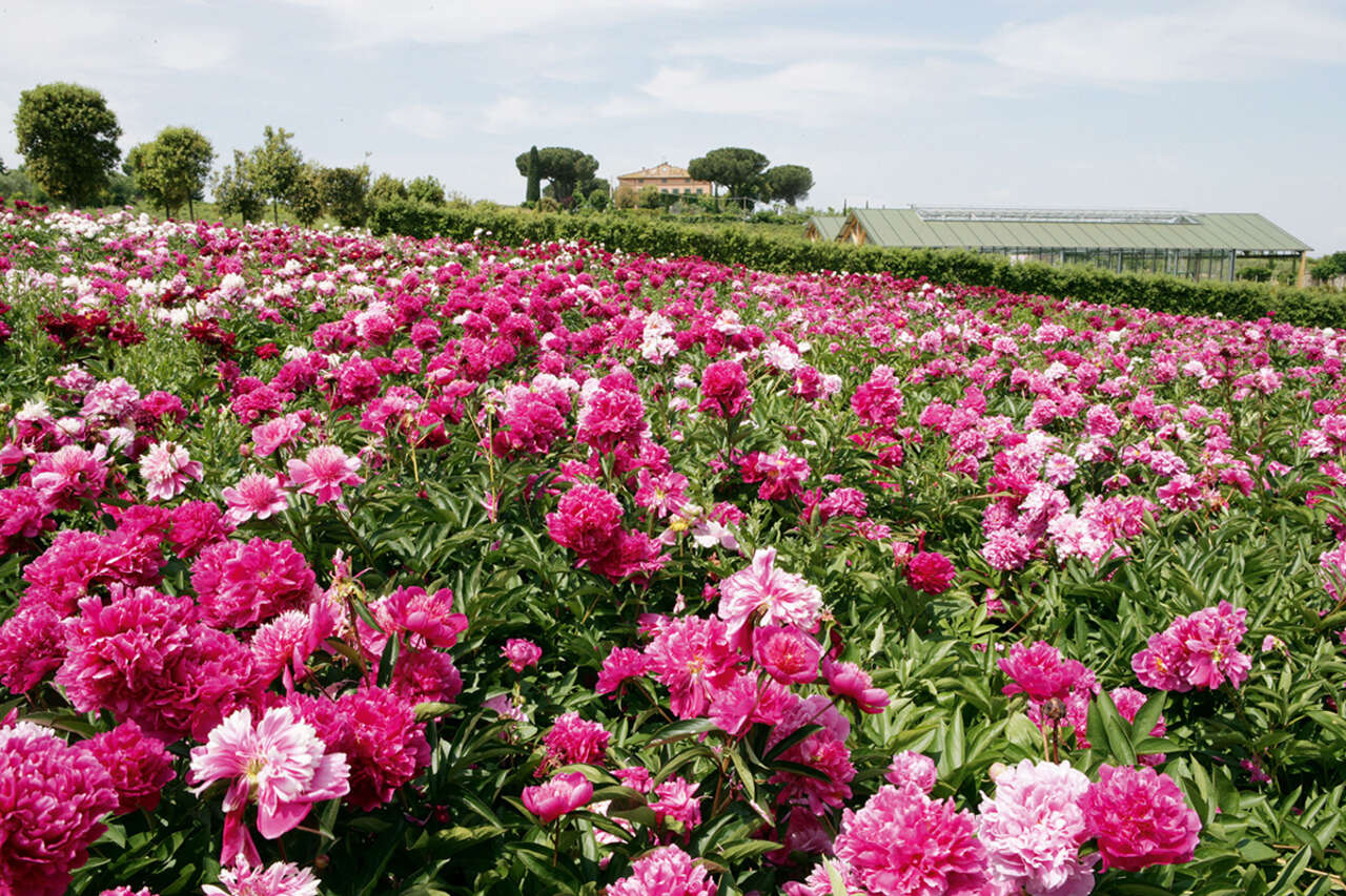 Grandi Giardini Italiani