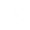 Partially wheelchair accessible